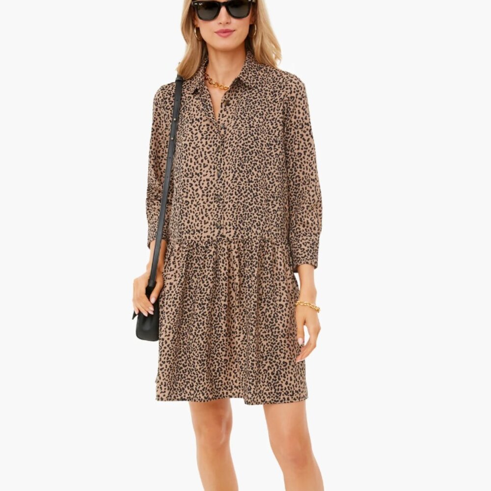 Tuckernuck Leopard Print Hayes Dress